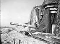 Private F.J. Coakley of The North Shore Regiment sitting on a captured German coastal artillery gun, Boulogne, France, 21 September 1944 September 21, 1944.