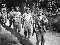 Infantrymen of The 48th Highlanders of Canada advancing towards the Gothic Line near the Foglio River, Italy, 1944 1944.