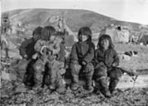 De jeunes Inuits assis sur un traîneau à chiens également appelé kometik. [Illauttannak (2e à droite) et Miqqussaaq (extrême droite). Les autres non identifiées.] Septembre 1922