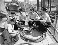 Sailors playing cards aboard the Fairmile motor launch Q078 of the Royal Canadian Navy (R.C.N.), St. John's, Newfoundland, 10 June 1943 June 10, 1943