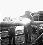 Personnel of the 3rd Battalion, Royal Canadian Engineers (R.C.E.), welding a section of the Ostend-Ghent oil pipeline, Ostend, Belgium, 18 October 1944 18-Oct-44