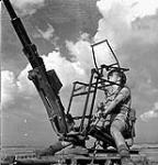 Private Everett Dewar, Saskatoon Light Infantry (M.G.) attached to the West Nova Scotia Regiment, manning an Oerlikon 20mm. anti-aircraft gun, Spinazzola, Italy, 1 October 1943 October 1, 1943