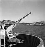 Private A.J. Landry manning a Bofors gun aboard the troopship H.M.T. NEA HELLAS, which is arriving at Philippeville, Algeria, 9 July 1943 July 9, 1943