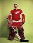 Terry Sawchuk - hockey player 15 Feb. 1964