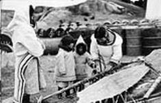 Women in Pangnirtung stretching a sealskin 27 septembre 1958