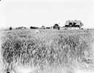 Farm 1927