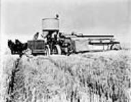 Unloading from a combine 1927