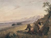 En approchant le bison 1867