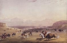 Hunting the Buffalo in Herds 1867