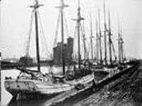 Sailing vessel at the western entrance of the Welland Canal 1885