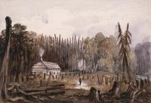 Cabine dans la forêt ca. 1838-1842