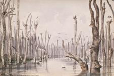 Terre submergée - canal Rideau, 4 août 1844 10 juin 1862