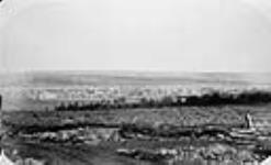 View of Fredericton 1867-1873