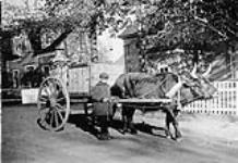 Street scene, showing ox cart at Arichat, NS. c 1930 1930