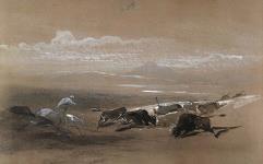 Chasse aux bisons dans les prairies de l'Ouest (Canada ou États Unis) ca. 1848