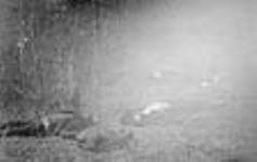 « Shot dead » : Métis abattus 12 May 1885