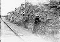 One mile above Chambord, P.Q. Gneiss in railway cut, Québec and Lac Saint-Jean Railway 1890