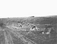 Cutting and stooking on Fred Engen's farm, Sask c.a. 1910