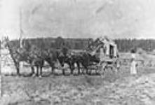 [Stage coach, Cariboo Trail] [early 1900].
