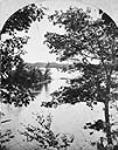 Among the Islands, Fiddler's Elbow, Thousand Islands, St.Lawrence River 1880