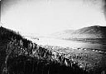 Looking down Yukon from bank just below Forty Mile. Cudahy in foreground Sept. 1895 1890-1900.