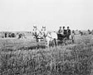 Landseekers in Saskatchewan - near Saskatoon