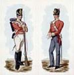 29e Régiment de la garde à pied, 1814-1815 1916