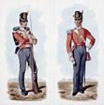 52e Régiment de la garde à pied, 1814-1815 ca. 1915-16
