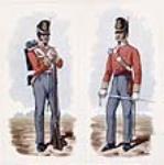 100th Regiment of Foot Guards 1812-1814 ca. 1915-16