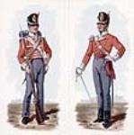 104e Régiment de la garde à pied, 1813-1814 ca. 1915-1916