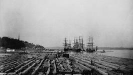 Booth's raft of pine timber, Sharples and Dobell's Coves 1891