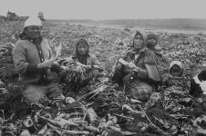 Cree women and children working as farm labourers on a sugar beet farm, Raymond, Alta. [Alberta]. ca. 1905.