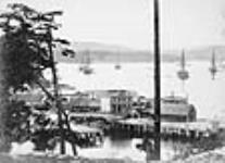 View of harbour c.a. 1870