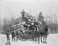 Load of pine logs en route to creek dump, Haliburton 1880-1900