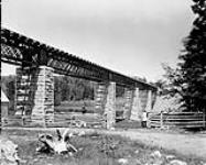 Intercolonial Railway. Bridge June-Aug. 1875
