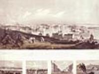 View of Saint John, N.B. 1851 1851