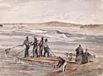 Shad Fishery, Sault au Cochon, St. Lawrence River May, 1840
