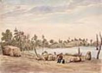 Sans titre [un lac, probablement en bordure du canal Rideau] ca 1828