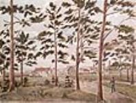 Kingston, vue à travers des arbres 27 juillet, 1829.