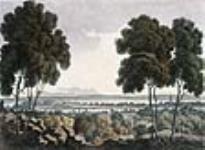 La ville de Montéal, vue de la montagne 1807