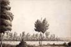Waterfront Scenery after 1823