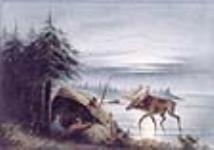 Shooting a Moose ca. 1856