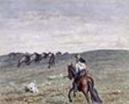 Bisons dans la prairie ca 1863
