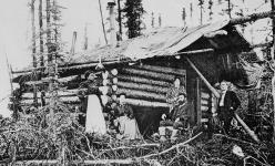 Swift Water Willie's cabin ca. 1897 - 1910