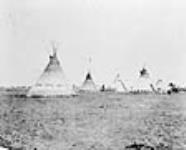 Medicine Lodges, Blackfoot Indians c.a. 1907