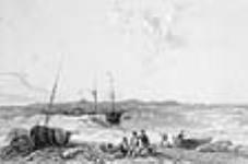 Felix Harbour, Summer 1834