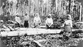Ukrainian women cutting logs, Athabasca, Alberta 1930