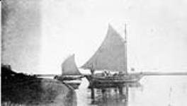 Ninakshak's sloop (formerly Chis Stein's "Quo Vadis") Richard Island, Mackenzie delta, N.W.T., Sept. 18, 1909 18 Sept. 1909