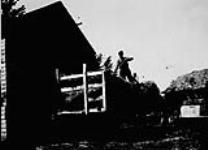 Max Taback storing oat sheaves, Edenbridge Colony, Saskatchewan 1926