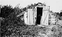 Isaac Sukanick's root cellar, Edenbridge, Saskatchewan 1931
